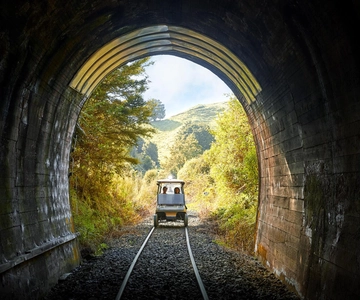 Taumarunui: Passeio de carroça pelo mundo esquecido com almoço