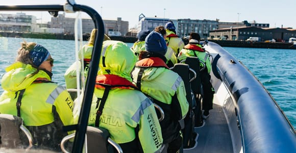 Reykjavik: Whale Watching Tour by RIB Boat