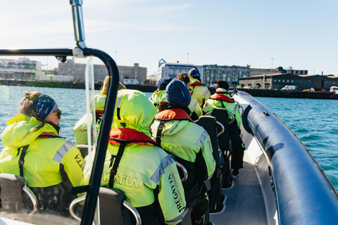 Reykjavik: Walvistour per RIB boot