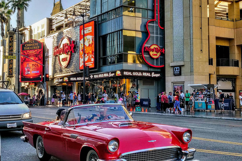 Los Angeles: Hollywood Highlights Sightseeing Tour