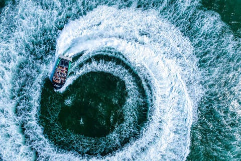 黄金海岸：喷射艇之旅 &amp; 海洋世界入场券黄金海岸：喷射快艇之旅及海洋世界入场券