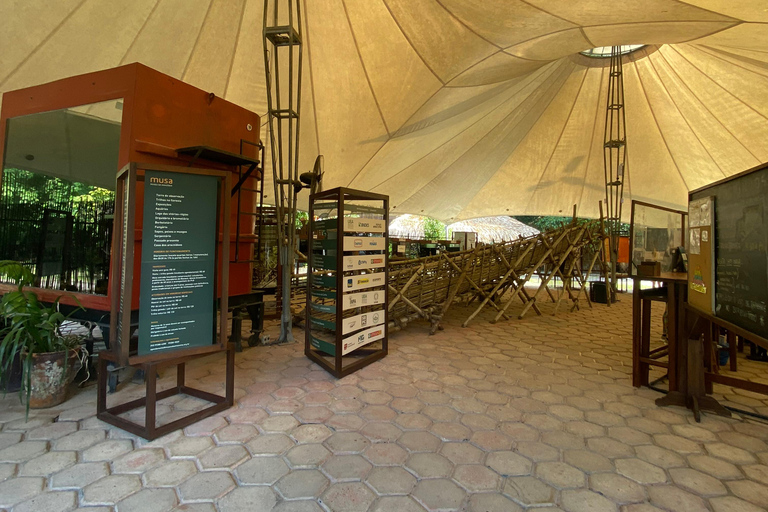 Private tour of the Amazon Museum in Manaus Private Tour at Musa (Amazon Museum) in Manaus
