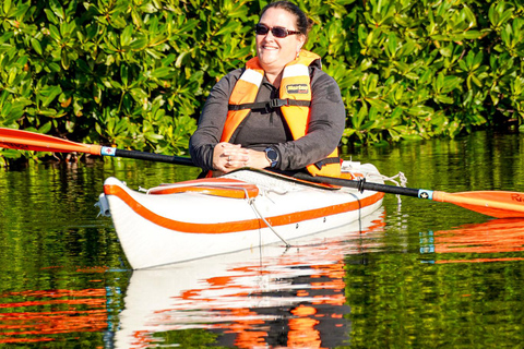 Sea Kayak Tour - Mangrove Safari