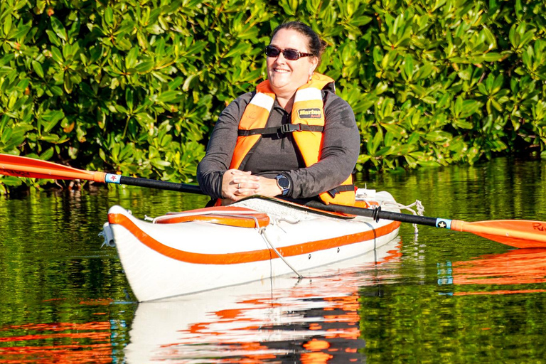 Sea Kayak Tour - Mangrove Safari