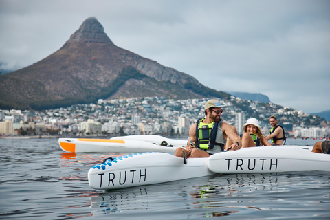 Cape Town: Dolphin & Ocean Wildlife Kayaking Adventure ⚓️