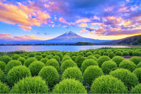 Mt Fuji 8 Spots Customizable Sightseeing Day Tour with Guide Mt Fuji 8 Spots Customizable Sightseeing Day Tour with Guide