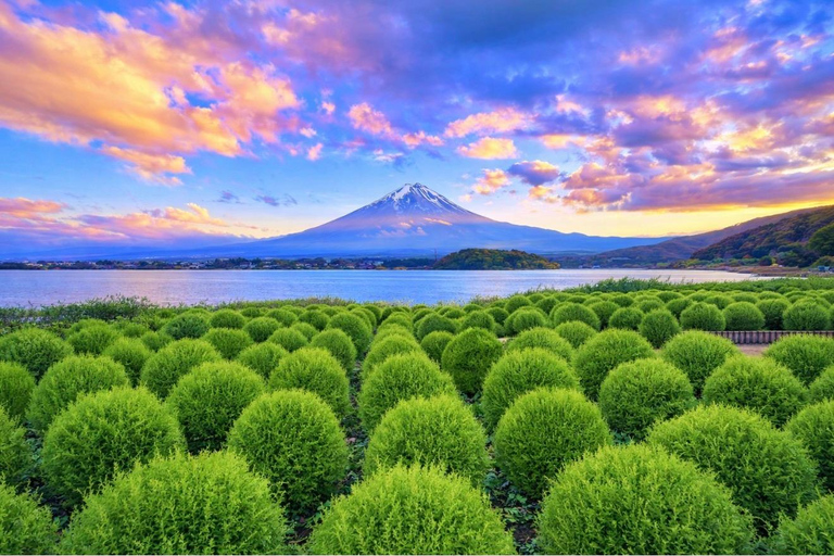 Mt Fuji 8 Spots Customizable Sightseeing Day Tour with Guide Mt Fuji 8 Spots Customizable Sightseeing Day Tour with Guide