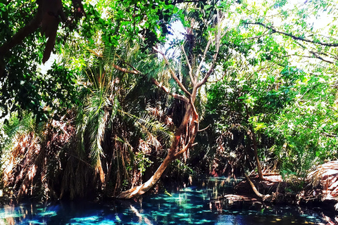 Moshi: Waterfall's and Hot Springs 2-Day Tour