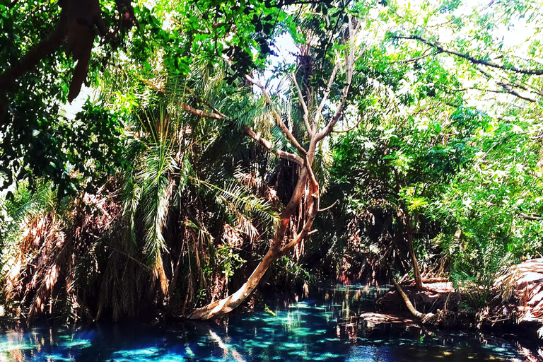 Moshi: Waterfall's and Hot Springs 2-Day Tour