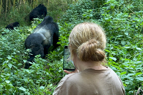 3-daagse gorillatrektocht Mgahinga Gorilla NP Oeganda via Rwanda