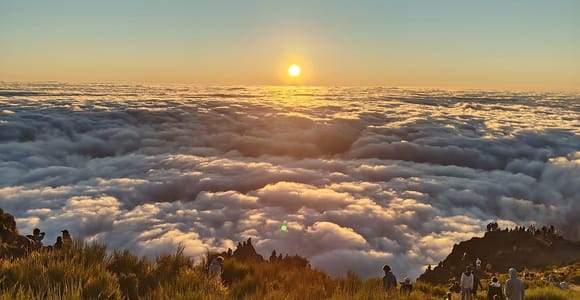Madeira: Sunrise Half-Day Jeep Tour