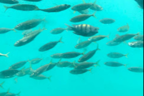 Muscat: Semi-Submarine Cruise with Snorkeling & Snacks