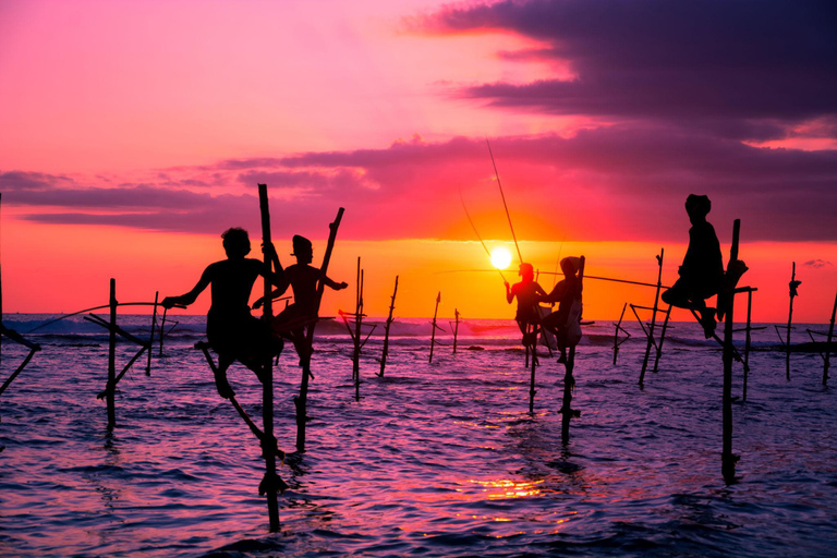 Galle City Tour with Hotel/Airport Pickup and Drop-Off