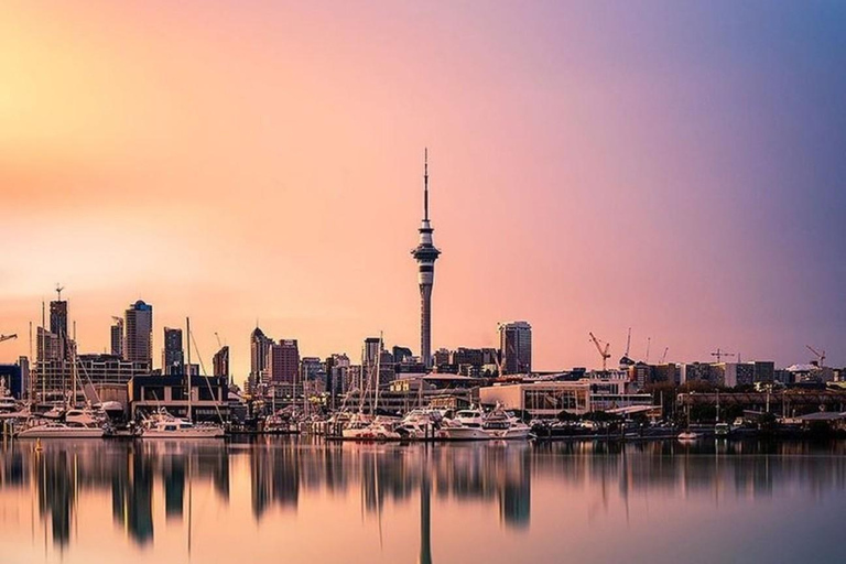 Tour di un giorno intero dei punti salienti della città di Auckland