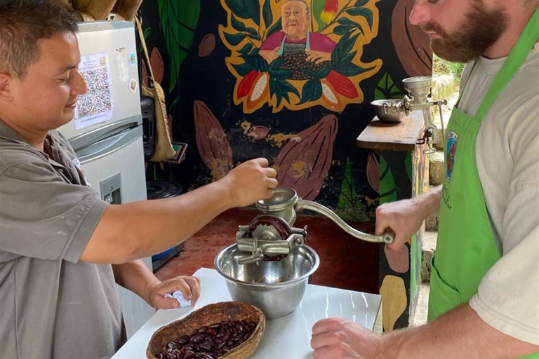 Medellín: Chocolate Farm Tour with Cocoa Exfoliation