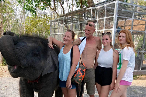 Krabi : Kayak sur l'Amazone Klong Srakaew et nourrissage des éléphants