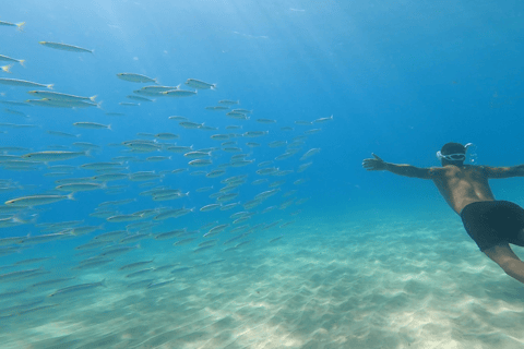 From Palma de Mallorca: 3.5-Hour Catamaran Cruise with Tapas and a Swim