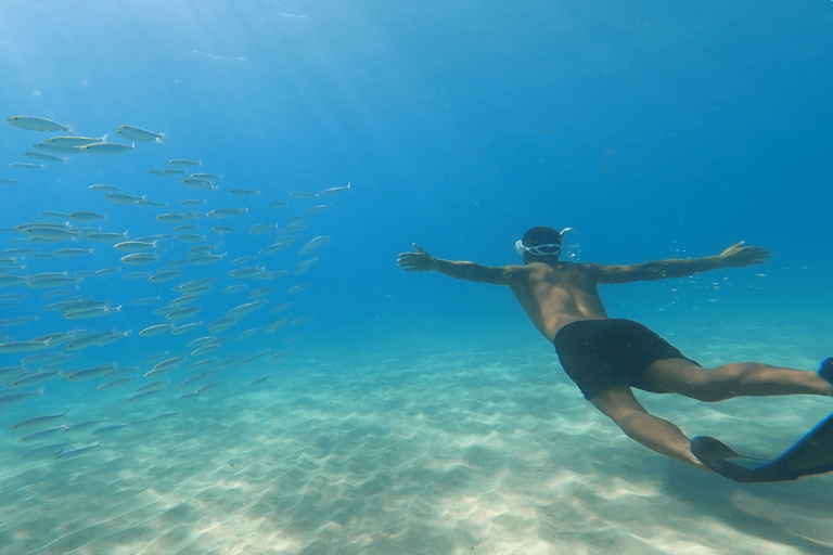 From Palma de Mallorca: 3.5-Hour Catamaran Cruise with Tapas and a Swim