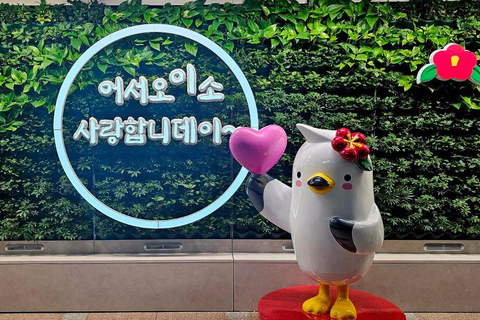 Vanuit Seoul: Tongyeong Ansjovis 2 daagse tour