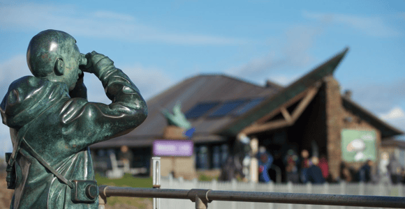 Scottish Seabird Centre: Discovery Experience Entry Ticket