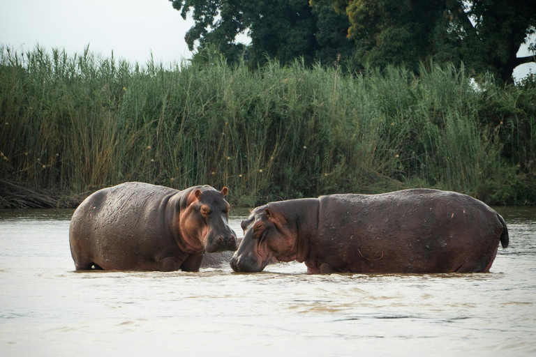 Arusha: 5-Day Private Mid Range Safari with Eyasi And Natron