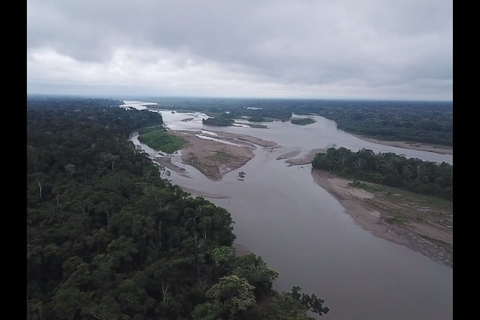 Manu Safaris PeruManu safari Peru
