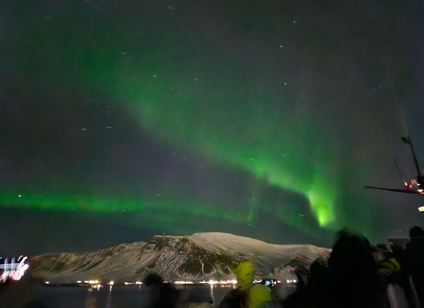 Reykjavík: Krydstogt med nordlys