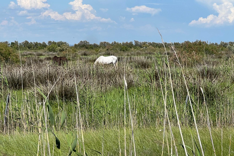 Montpellier: Petite Camargue - Camin de Fe Guided Ride by E-Bike Montpellier: Petite Camargue - Camin de Fe Guided E-Bike Tour