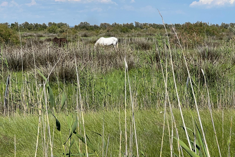 Montpellier: Petite Camargue - Camin de Fe Guided Ride by E-Bike Montpellier: Petite Camargue - Camin de Fe Guided E-Bike Tour