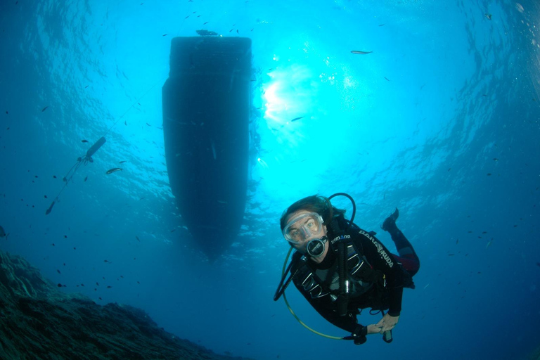 Marmaris: Beginner-Friendly Scuba Diving Tour Marmaris: Scuba Diving Without Hotel Transfer