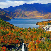 Tokyo:Nikko World Heritage Sites Customized Private Day Trip