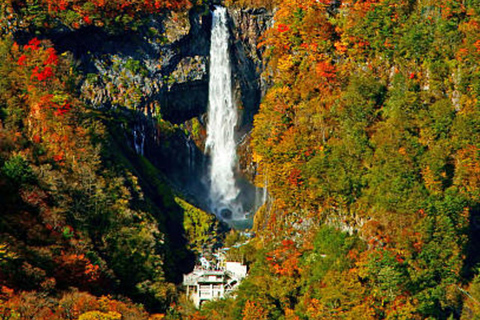 From Tokyo: Nikko World Heritage Sight Full Day Private Tour