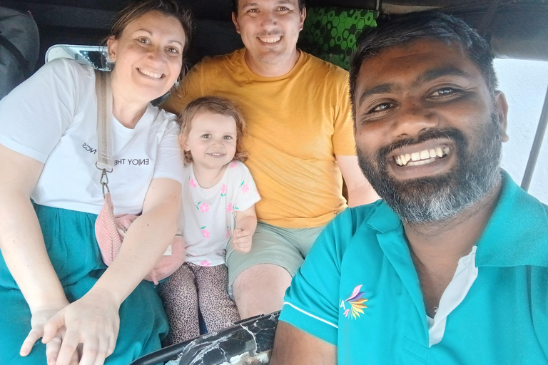 Kandy: Private Tuk Tuk City Tour with Local Guide