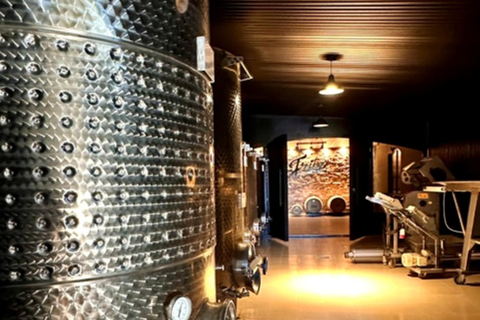 Besuch der Bodega FrippBESUCH DER BODEGA CERROS DE SAN JUAN