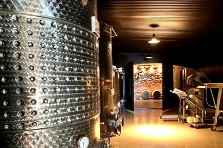 Besuch der Bodega FrippBESUCH DER BODEGA CERROS DE SAN JUAN