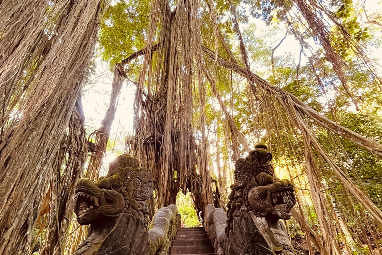 Ubud:Foresta delle scimmie, terrazze di riso, templi d&#039;acqua e cascate