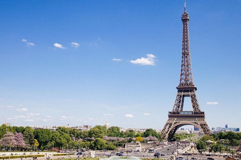 Paris : Visite touristique privée d'une journée ou d'une demi-journée avec un guide local.Journée complète de visites à Paris