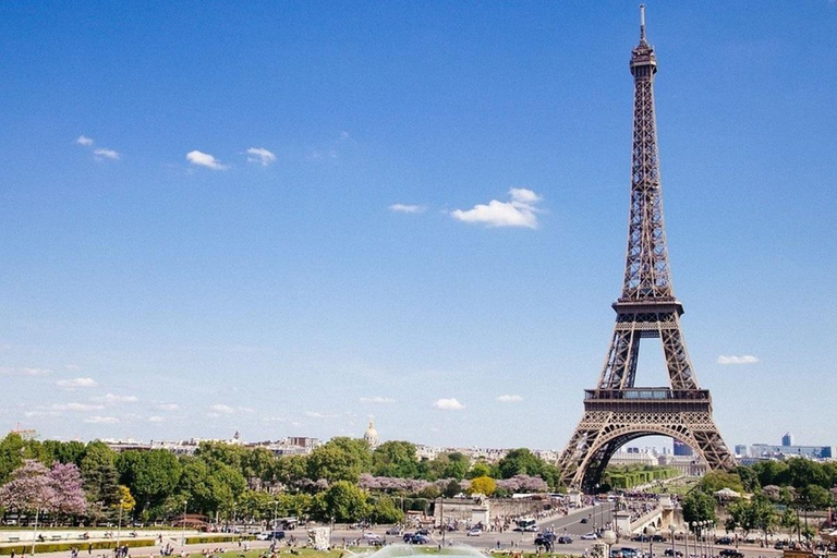 Paris : Visite touristique privée d'une journée ou d'une demi-journée avec un guide local.Journée complète de visites à Paris