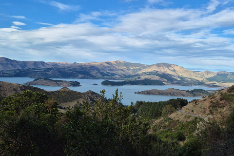 Christchurch Private Scenic Highlights Tour with Local Guide