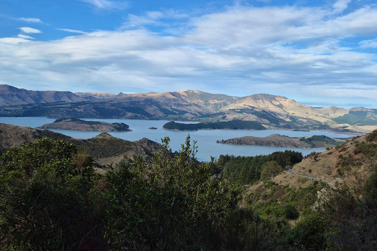 Christchurch Private Scenic Highlights Tour with Local Guide