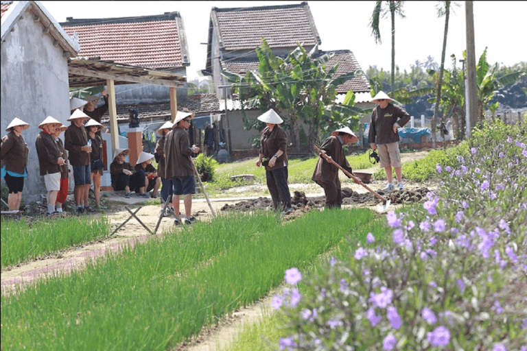 Bicicleta por el campo -Agricultura -Mercado -Clases de cocina en Hoi AnTour privado