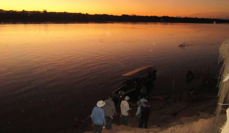 Night hiking through the Amazon rainforest | GetYourGuide