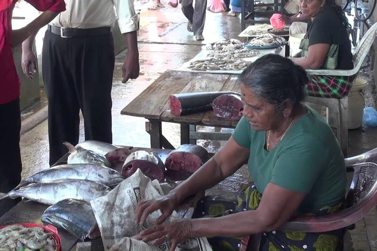 Visite de la ville de Negombo : Marché aux poissons et tour en bateau sur le canal hollandais