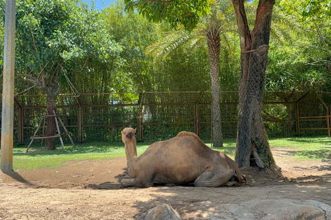 فينبيرل فينووندرز نام هوي آن مع سفاري وحديقة مائيةجولة خاصة بدون بوفيه أو عربة