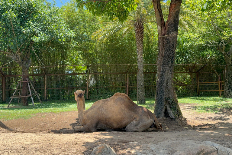 فينبيرل فينووندرز نام هوي آن مع سفاري وحديقة مائيةجولة خاصة بدون بوفيه أو عربة