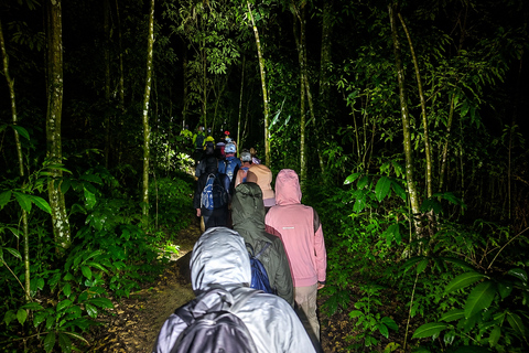 From KL: Taman Negara & Cameron Highlands (3D2N) Tour Taman Negara Canopy & Cameron 3D2N