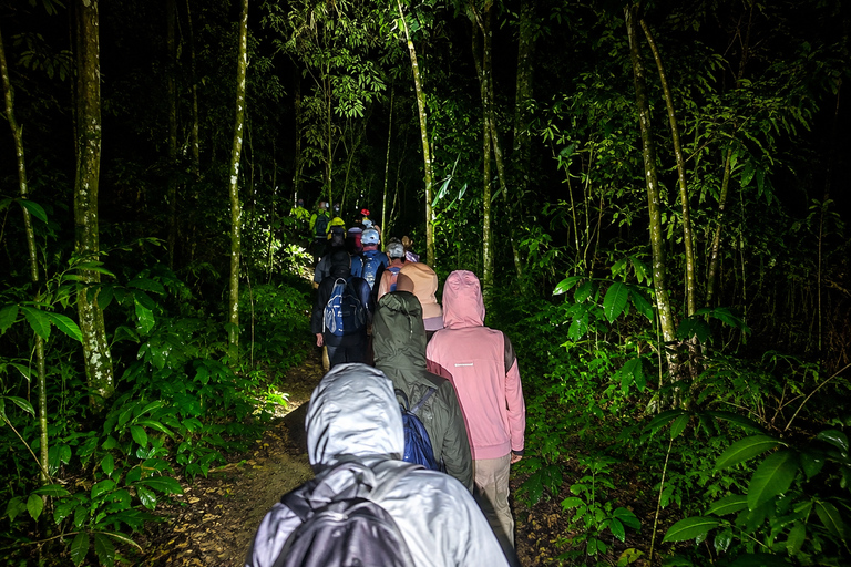 From KL: Taman Negara & Cameron Highlands (3D2N) Tour Taman Negara Canopy & Cameron 3D2N