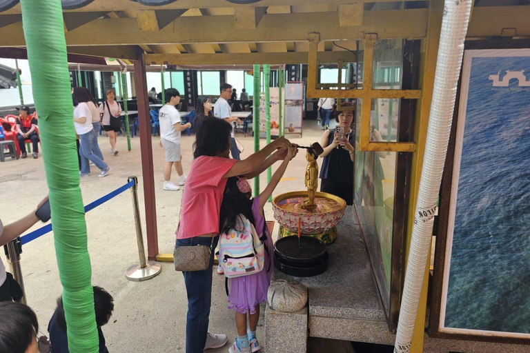 Un completo tour en grupo reducido por Busan con un guía titulado