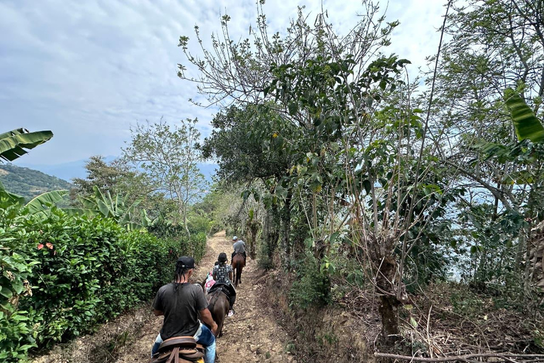 Medellín: Paragliding & Horseback Escape in Antioquia