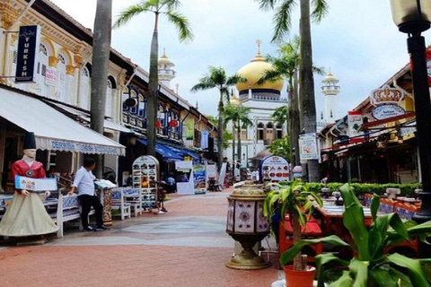 Singapura: Excursão particular de 1 dia à ilha